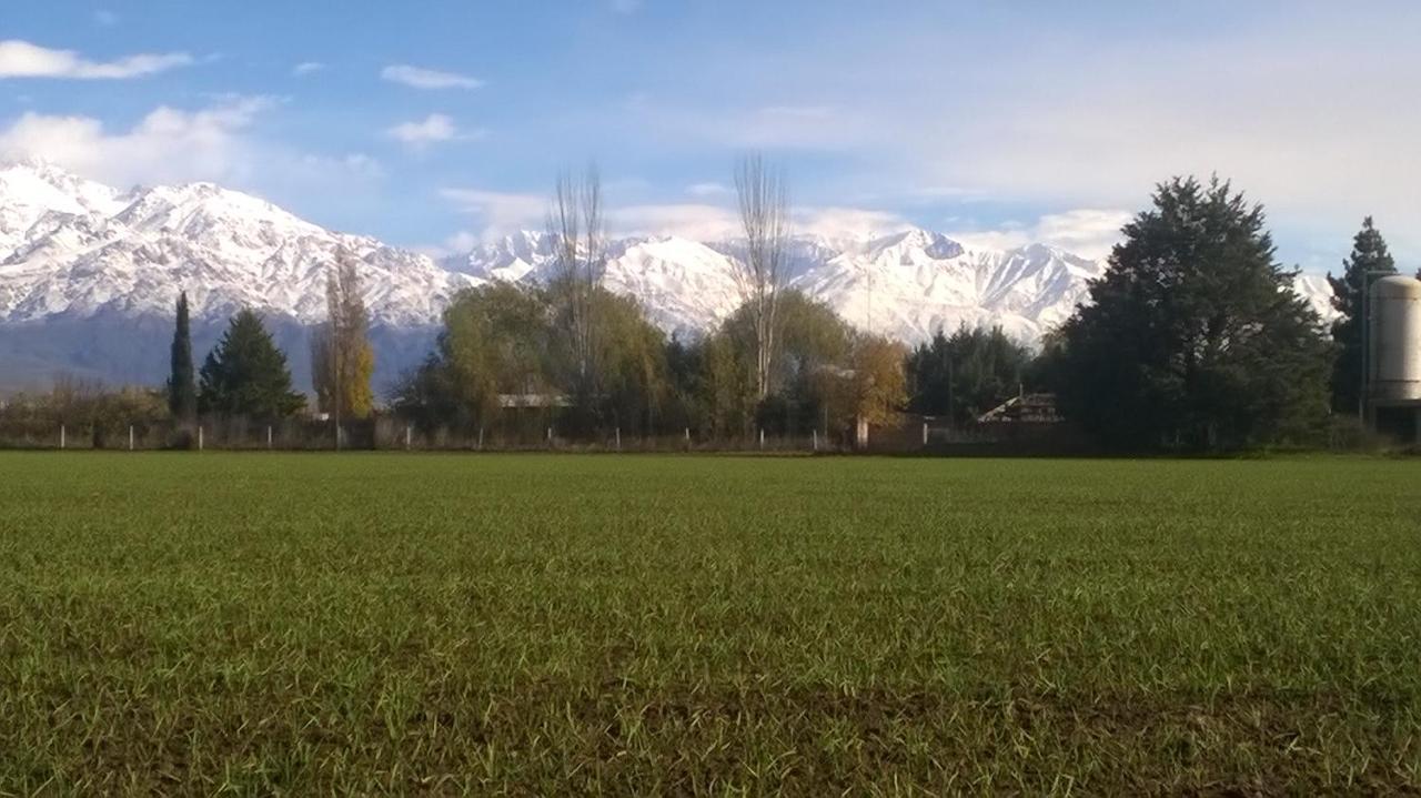 Casa De Campo Finca La Superiora La Consulta Εξωτερικό φωτογραφία